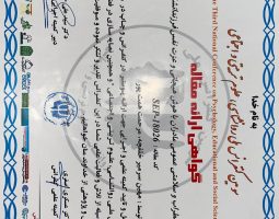 مهین پرمر خنفچه