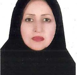مهین پرمر خنفچه