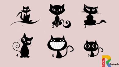 تست شخصیت از روی انتخاب گربه مورد علاقه