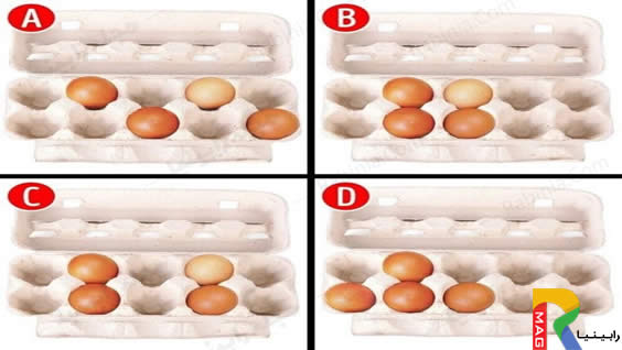 تست شخصیت شناسی چینش تخم مرغ