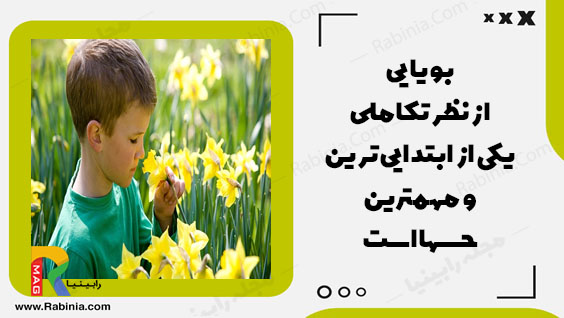 روانشناسی احساس و ادراک