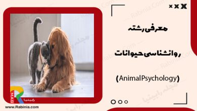روانشناسی حیوانات