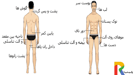 نقاط حساس بدن آقایان