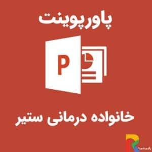 پاورپوینت خانواده درمانی ستیر