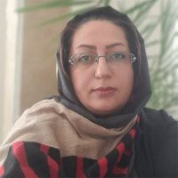 فیروزه محمدی