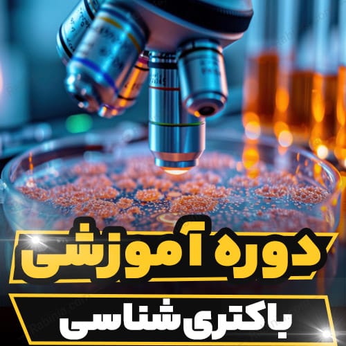 کارگاه آموزشی باکتری شناسی