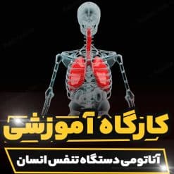 کارگاه آموزشی آناتومی دستگاه تنفس انسان