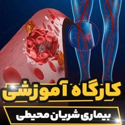 کارگاه آموزشی بیماری شریان محیطی