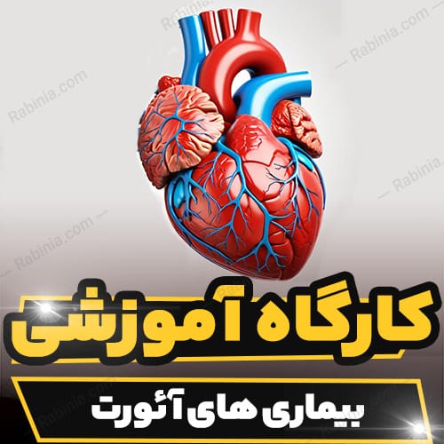 کارگاه آموزشی بیماری های آئورت