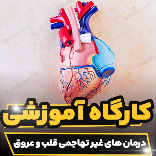 کارگاه آموزشی درمان های غیر تهاجمی قلب و عروق