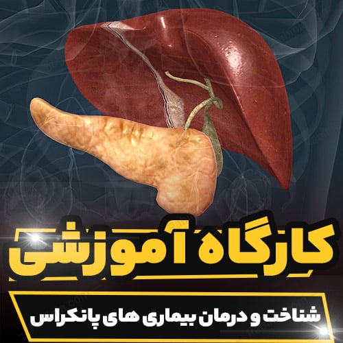 کارگاه آموزشی شناخت و درمان بیماری های پانکراس