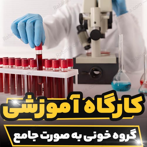 کارگاه آموزشی گروه خونی به صورت جامع